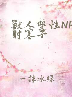 兽人双性NP内射塞子