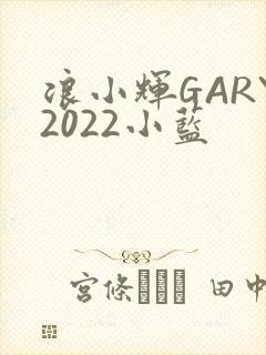 浪小辉GARY2022小蓝