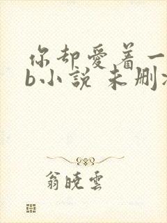 你却爱着一个sb小说 未删减完整版百度云