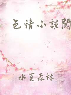 色情小说阅读