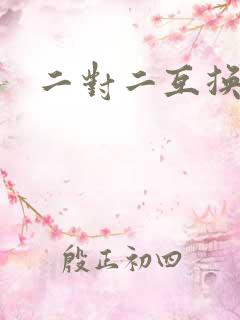 二对二互换共享