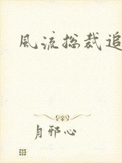 风流总裁追妻记