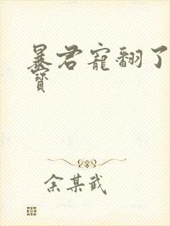 暴君宠翻了小娇宝