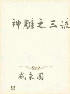 神雕之三流