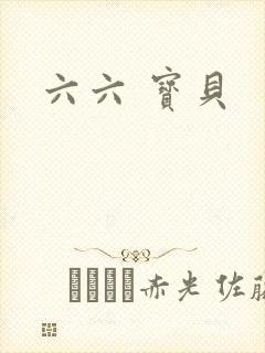 六六 宝贝