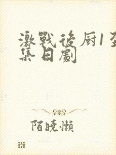 激战后厨1至5集日剧