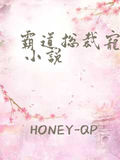 霸道总裁宠上天 小说