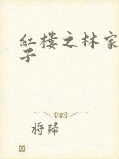 红楼之林家庶长子