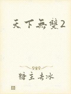 天下无双2