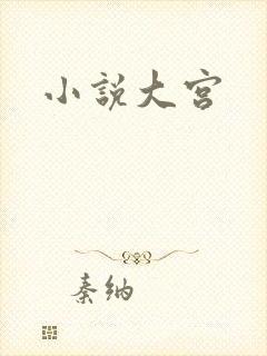 小说大宫