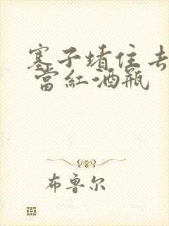 塞子堵住去上学 当红酒瓶