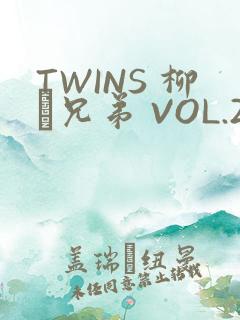 TWINS 柳澤兄弟 VOL.2