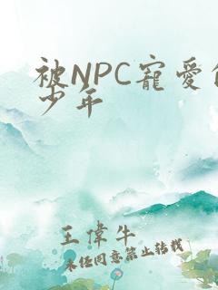 被NPC宠爱的少年