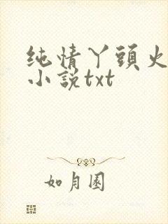 纯情丫头火辣辣小说txt