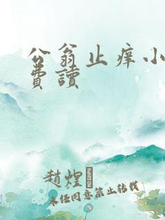 公翁止痒小说免费读