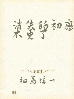 消失的初恋为啥不更了