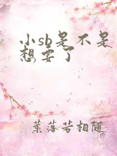 小sb是不是又想要了
