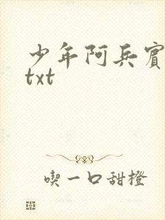 少年阿兵宾小说txt
