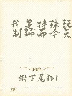 我是特殊玩具定制师而今天的客户