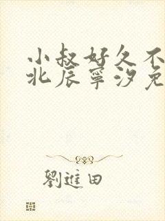 小叔好久不见顾北辰宁汐免费阅读