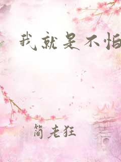 我就是不怕小说