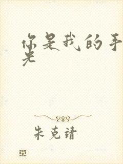 你是我的手冢国光