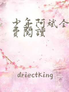 少年阿斌全文免费阅读