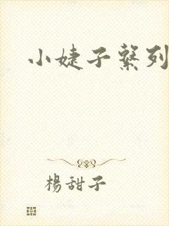 小婕子系列小说