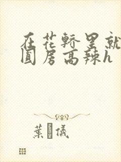 在花轿里就开始圆房高辣h