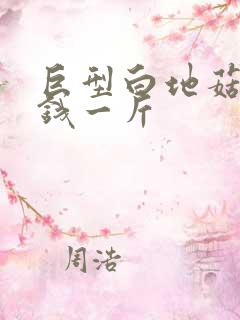 巨型白地菇多少钱一斤