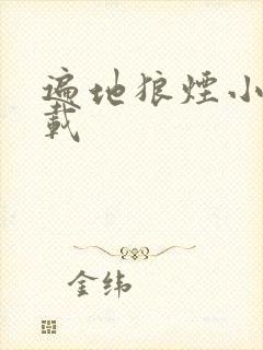 遍地狼烟小说下载