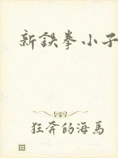 新铁拳小子