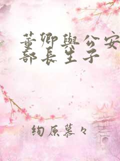 董卿与公安部副部长生子