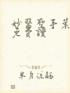 妙医圣手叶皓轩免费读