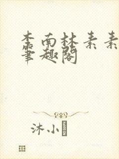 李南林素素小说笔趣阁