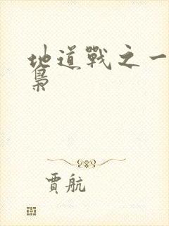 地道战之一代功枭