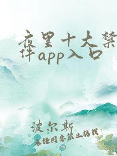 夜里十大禁用软件app入口