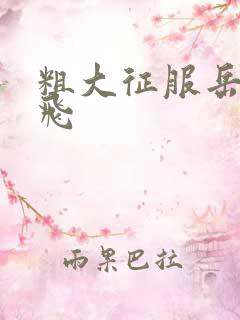 粗大征服岳女双飞