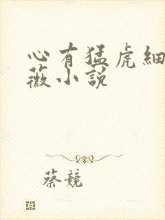 心有猛虎细嗅蔷薇小说