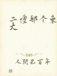 二傻那个东西真大