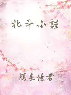 北斗小说
