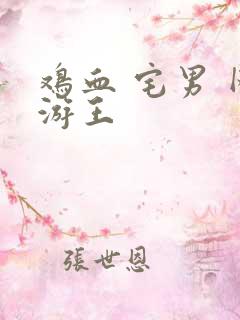 鸡血 宅男 网游王