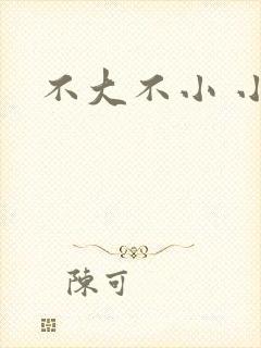 不大不小 小说