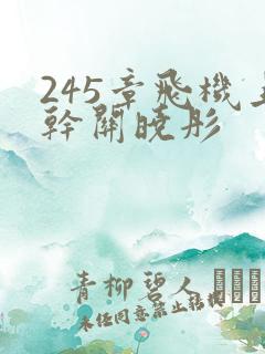 245章飞机上干关晓彤