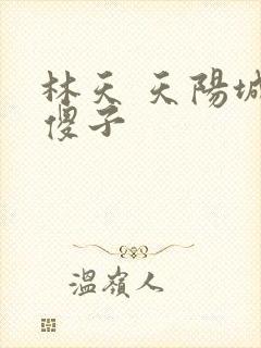 林天 天阳城 傻子