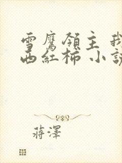 雪鹰领主 我吃西红柿 小说