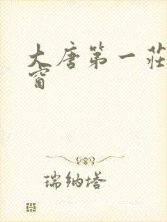 大唐第一庄无弹窗