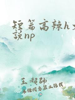 短篇高辣h文小说np