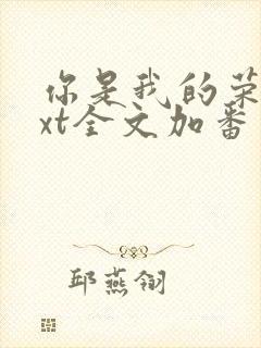 你是我的荣耀txt全文加番外