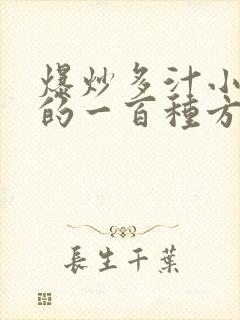 爆炒多汁小美人的一百种方法